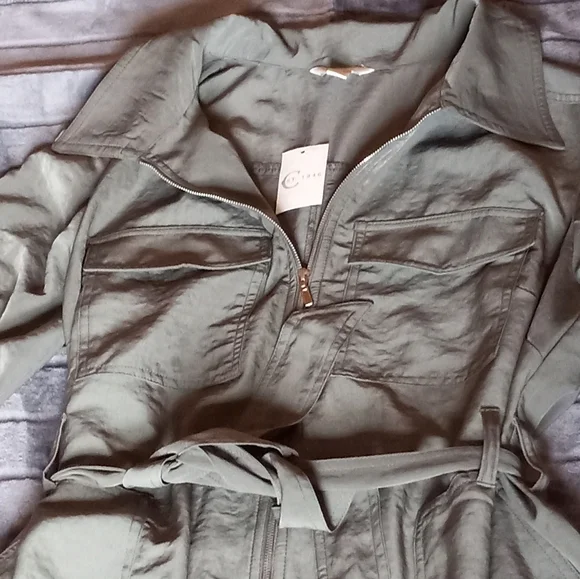 Army Green Jumpsuit - Picture 3 of 13